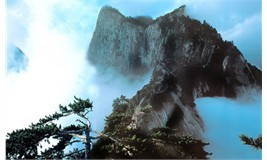 《若石之死》文言文原文阅读答案翻译注释 《若石之死》文言文原文阅读答案翻译注释