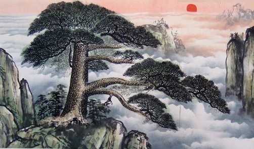 《赠从弟·其二》刘桢原文注释翻译赏析