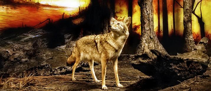 《狼》文言文原文阅读翻译注释 《狼》文言文原文阅读翻译注释