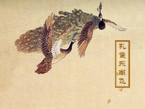 《孔雀东南飞》文言文阅读翻译注释 《孔雀东南飞》文言文阅读翻译注释