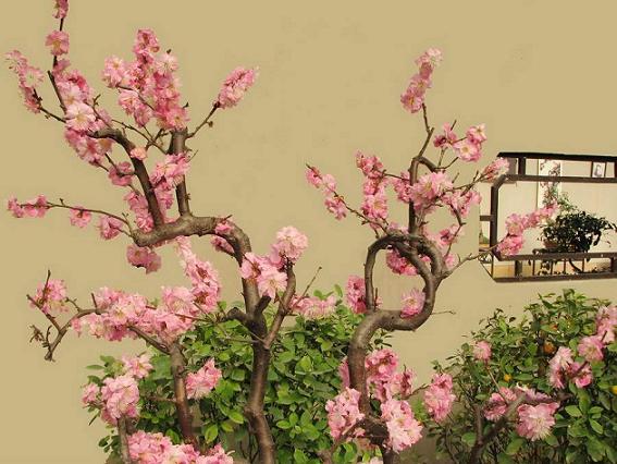 《病梅馆记》文言文原文阅读答案翻译注释