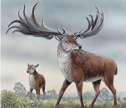 《三戒》并序文言文原文阅读答案翻译注释