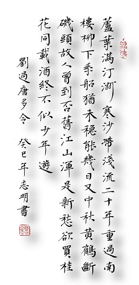 《唐多令·芦叶满汀洲》刘过宋词原文阅读翻译赏析