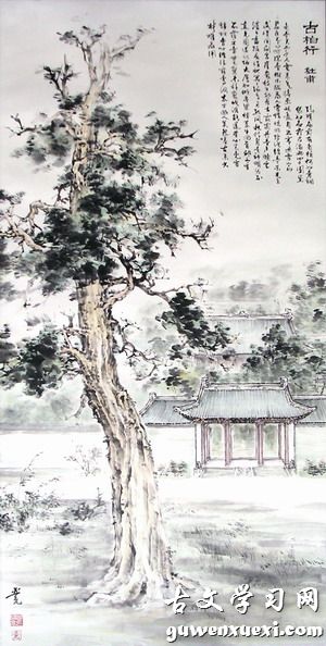 《古柏行》杜甫唐诗原文阅读翻译赏析