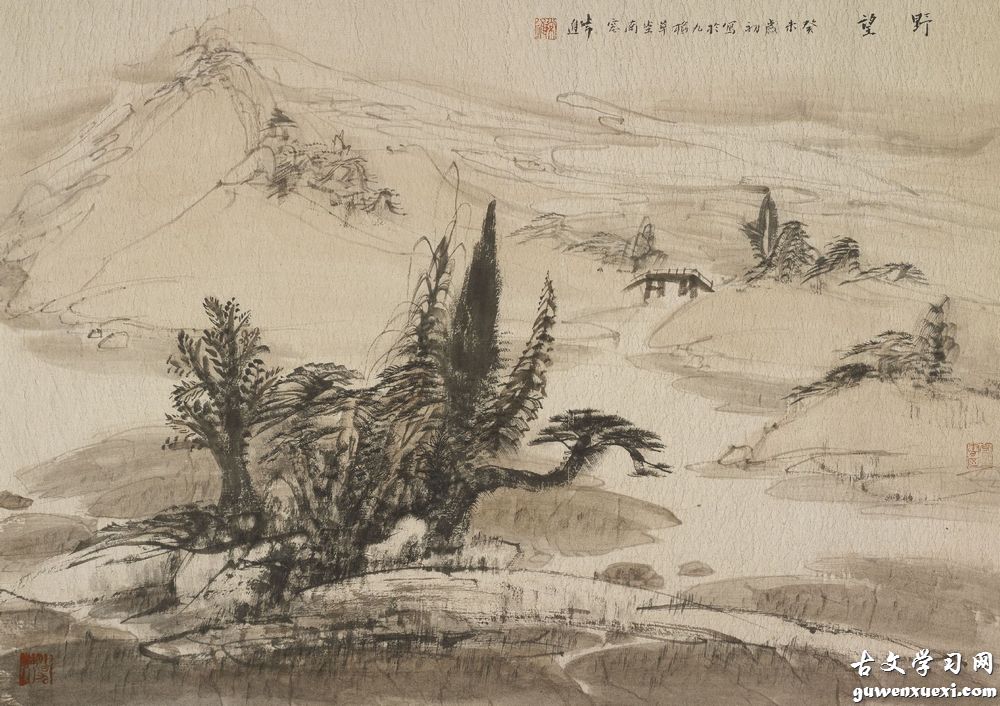 《野望》杜甫七言律诗唐诗原文阅读翻译赏析 《野望》杜甫七言律诗唐诗原文阅读翻译赏析