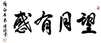 《望月有感》(自河南经乱)白居易唐诗原文阅读翻译赏析 《望月有感》(自河南经乱)白居易唐诗原文阅读翻译赏析