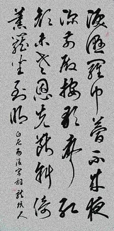 《后宫词》白居易唐诗原文阅读翻译赏析