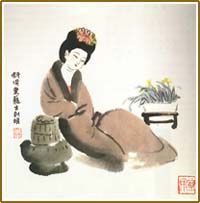 《后宫词》白居易唐诗原文阅读翻译赏析