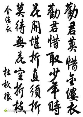 《金缕衣》杜秋娘唐诗原文阅读翻译赏析 《金缕衣》杜秋娘唐诗原文阅读翻译赏析