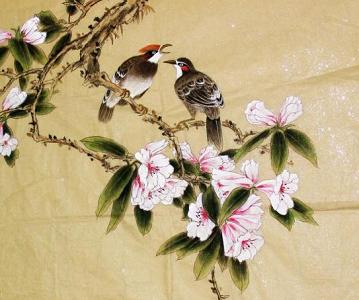 《千秋岁·数声鶗鴂》张先宋词原文阅读翻译赏析 《千秋岁·数声鶗鴂》张先宋词原文阅读翻译赏析