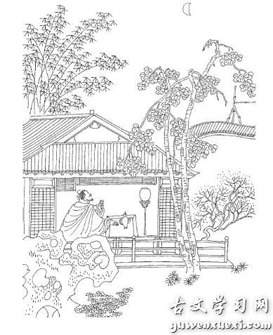 《青门引·乍暖还轻冷》张先宋词原文阅读翻译赏析