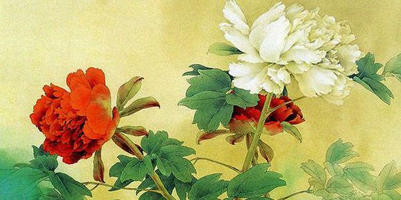 《木兰花·相离徒有相逢梦》张先宋词原文阅读翻译赏析 《木兰花·相离徒有相逢梦》张先宋词原文阅读翻译赏析