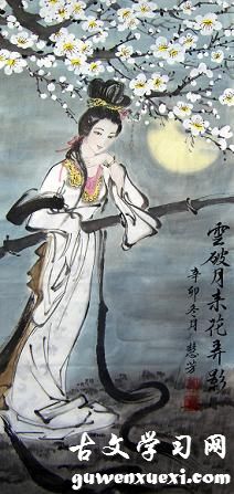 《青门引·乍暖还轻冷》张先宋词原文阅读翻译赏析