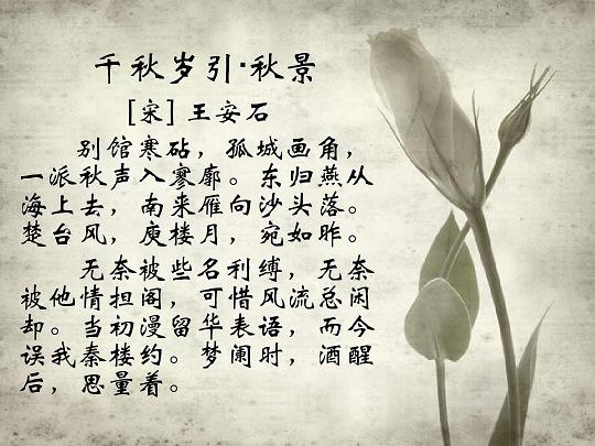 《千秋岁引·秋景·别馆寒砧》王安石宋词原文阅读翻译赏析 《千秋岁引·秋景·别馆寒砧》王安石宋词原文阅读翻译赏析