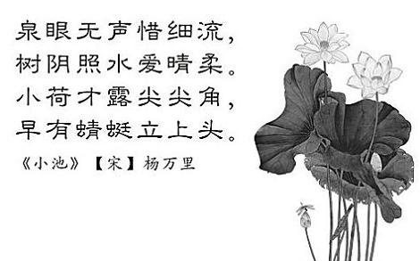 《小池》杨万里宋代古诗原文阅读翻译赏析 《小池》杨万里宋代古诗原文阅读翻译赏析