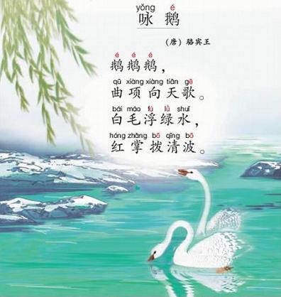 咏鹅骆宾王唐诗原文阅读翻译赏析