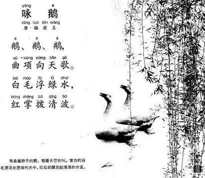 《咏鹅》骆宾王唐诗原文阅读翻译赏析 《咏鹅》骆宾王唐诗原文阅读翻译赏析