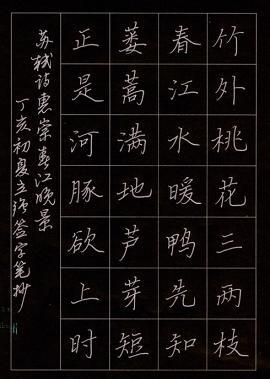 《惠崇春江晓景》苏轼宋代古诗原文阅读翻译赏析 《惠崇春江晓景》苏轼宋代古诗原文阅读翻译赏析