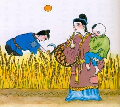 《观刈麦》白居易唐诗原文阅读翻译赏析 《观刈麦》白居易唐诗原文阅读翻译赏析