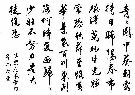 《长歌行》汉代古诗原文阅读翻译赏析 《长歌行》汉代古诗原文阅读翻译赏析