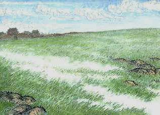 《王孙游》谢朓古诗原文阅读翻译赏析 《王孙游》谢朓古诗原文阅读翻译赏析