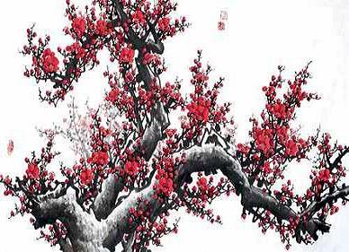 《梅花落》鲍照古诗原文阅读翻译赏析 《梅花落》鲍照古诗原文阅读翻译赏析