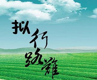 《拟行路难》其六鲍照古诗原文阅读翻译赏析 《拟行路难》其六鲍照古诗原文阅读翻译赏析