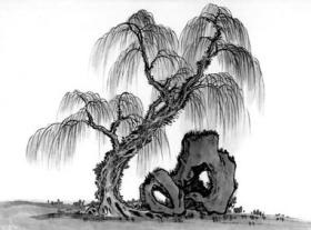 《折杨柳歌辞》北朝民歌古诗原文阅读翻译赏析 《折杨柳歌辞》北朝民歌古诗原文阅读翻译赏析