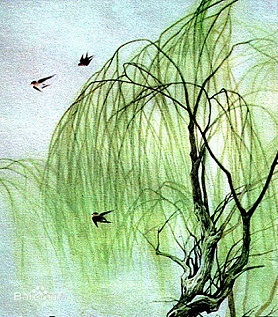 《咏柳》曾巩宋代古诗原文阅读翻译赏析