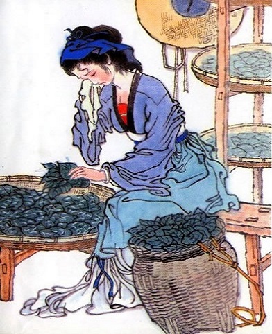 《蚕妇》张俞宋代古诗原文阅读翻译赏析