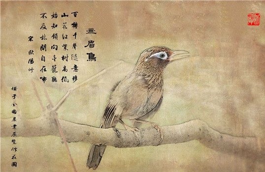 《画眉鸟》欧阳修宋代古诗原文阅读翻译赏析