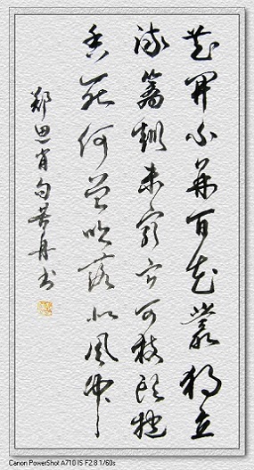《画菊》寒菊郑思肖宋代古诗原文阅读翻译赏析 《画菊》寒菊郑思肖宋代古诗原文阅读翻译赏析