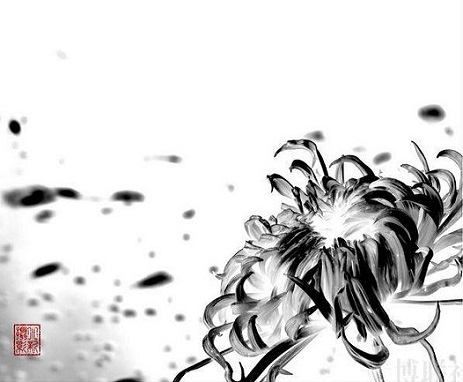 《画菊》寒菊郑思肖宋代古诗原文阅读翻译赏析 《画菊》寒菊郑思肖宋代古诗原文阅读翻译赏析