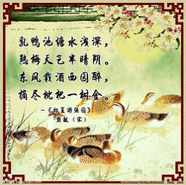 《初夏游张园》戴复古宋代古诗原文阅读翻译赏析 《初夏游张园》戴复古宋代古诗原文阅读翻译赏析